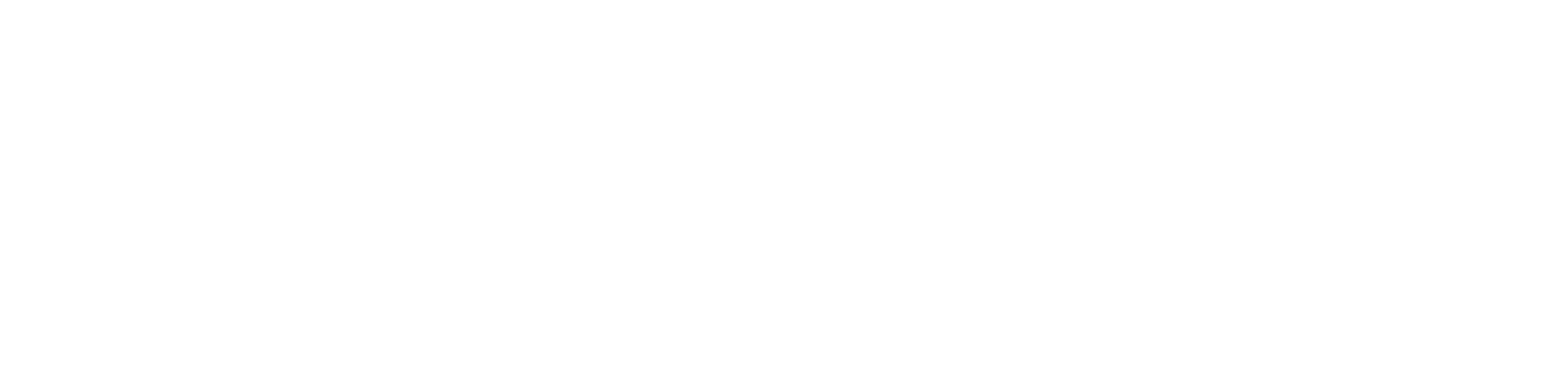 Vale Partners logo — White