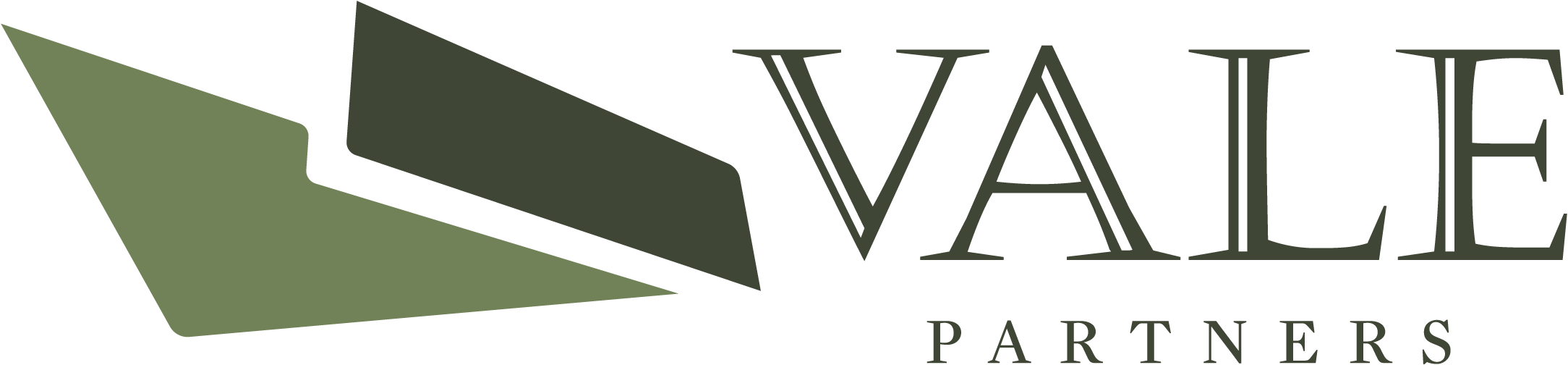 Vale Partners primary logo
