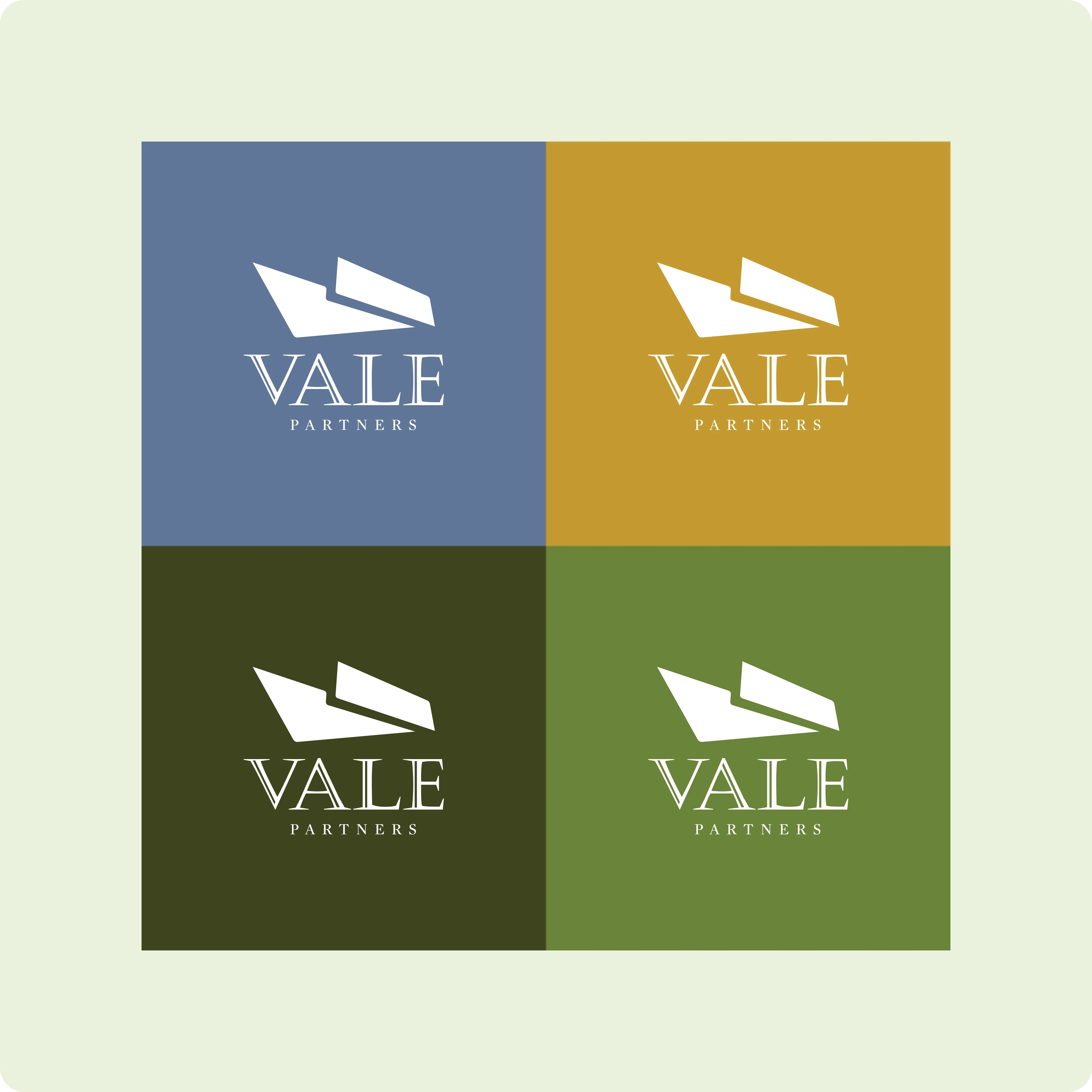 Vale Partners